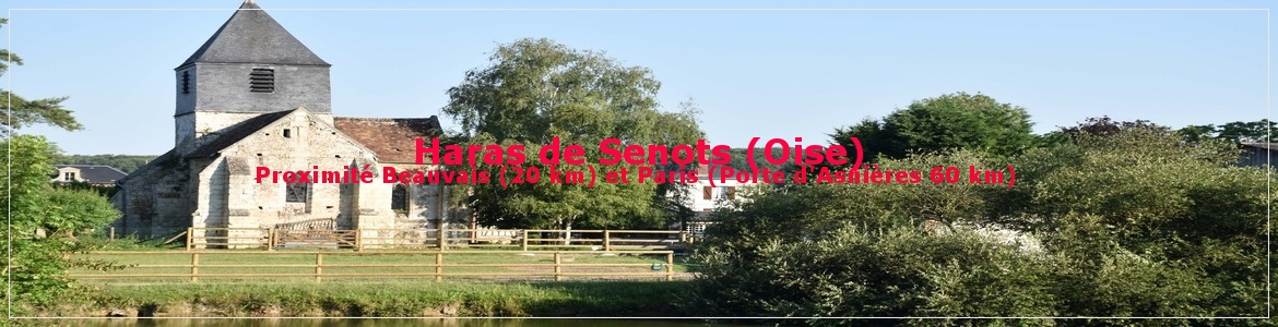 Haras de Senots (Oise)